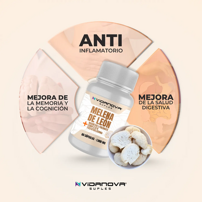 🧠 Melena de León Fortificada 60 CAPS — Foco mental, memoria y claridad todo el día